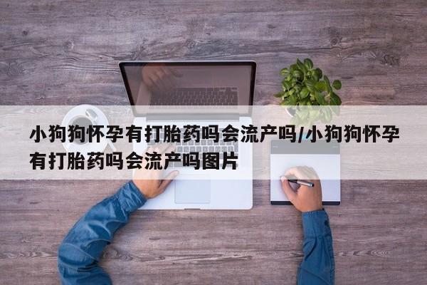 怀孕可以自己买药流吗小狗狗怀孕有打胎药吗会流产吗/小狗狗怀孕有打胎药吗会流产吗图片