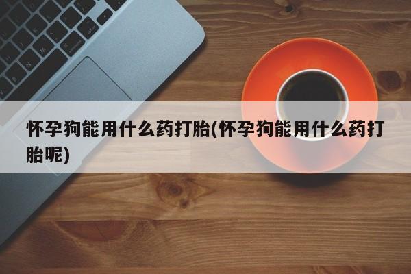 怀孕可以自己买药流吗怀孕狗能用什么药打胎(怀孕狗能用什么药打胎呢)